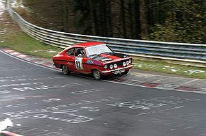 Wippermann