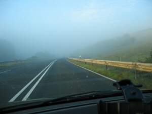 Fog
