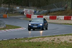 Finn at Pflanzgarten